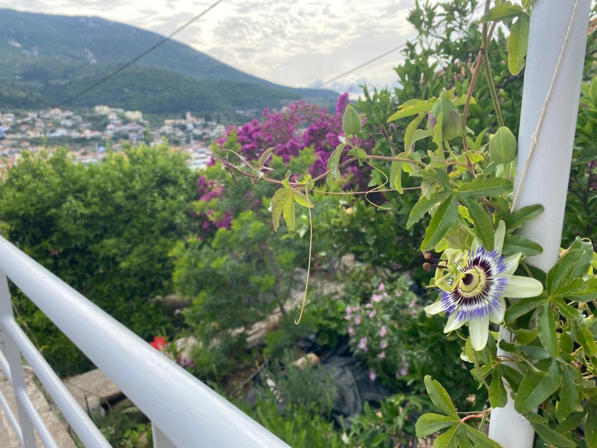 Antiklea Villa Vathy  Dış mekan fotoğraf