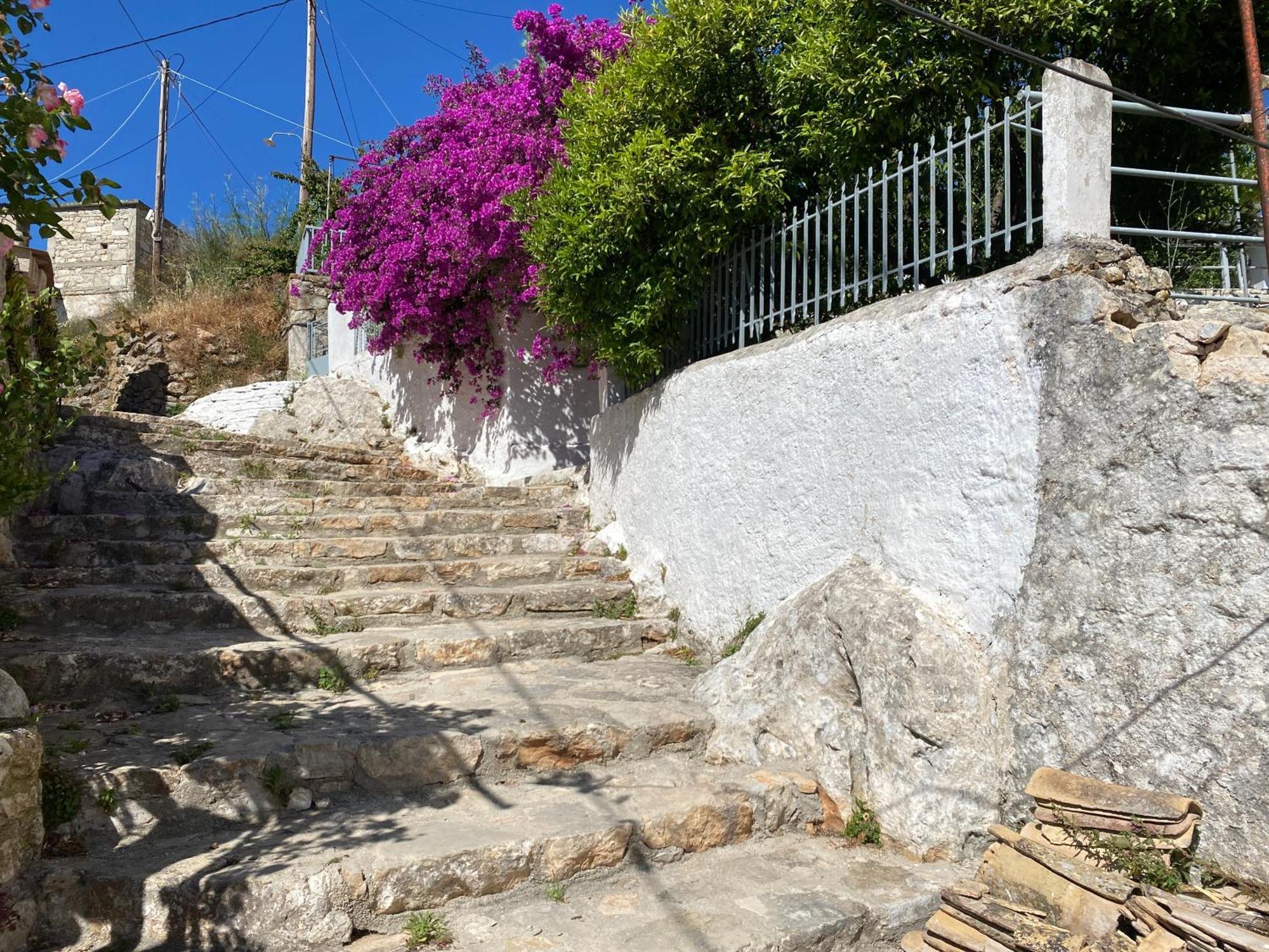 Antiklea Villa Vathy  Dış mekan fotoğraf